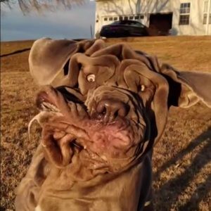 Meet your Posher, Nathan